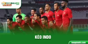 Ảnh đại diện kèo Indo