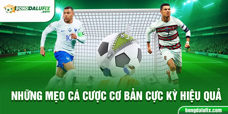 Những mẹo cá cược cơ bản cực kỳ hiệu quả